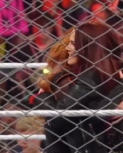raw2_6_23.mp4