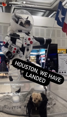349164350_641200301194978_1309367650548285667_n.jpg