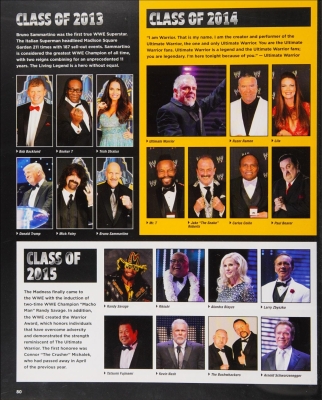 35wrestlemania2.jpg