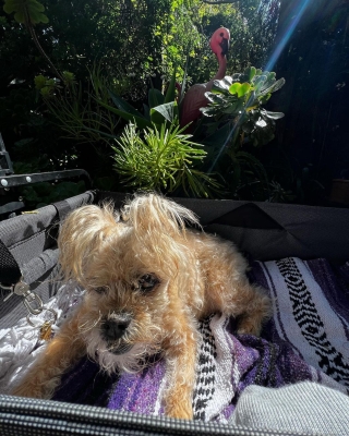 Snapinsta_app_352020693_6828183277211621_2875041524640425228_n_1080.jpg
