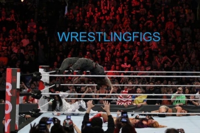 WWE-Royal-Rumble-1-28-18-1375.jpg