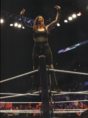 bestofwwe182.jpg