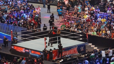 flickr122801678_N03wrestlemania325.jpg