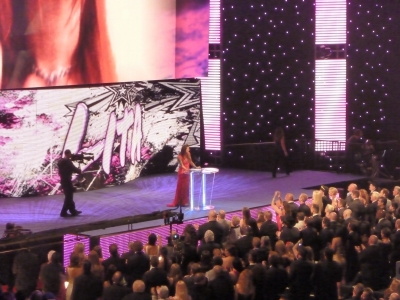 flickrlepresqueyesmouvementwrestlemaniafame47.jpg