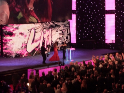 flickrlepresqueyesmouvementwrestlemaniafame49.jpg