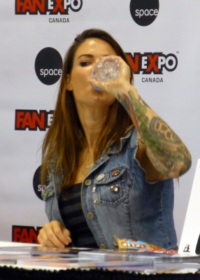 flickrtonyshektorontofanexpo6.jpg