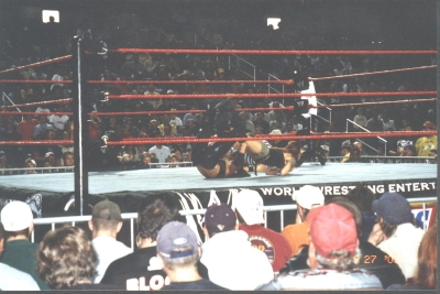 lita2666666677.jpg