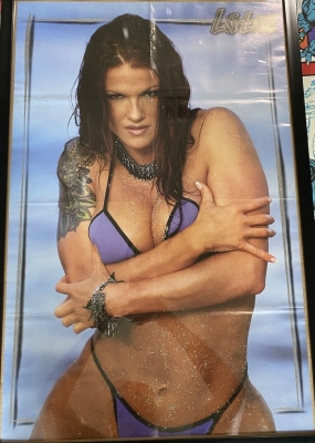 "WWF Superstars: The Posterbook" Poster
