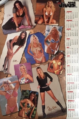 'WWF Divas" Poster
