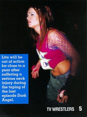 tvwrestlersaug022.jpg