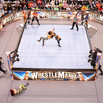 wrestlemania294_1_2316.jpg