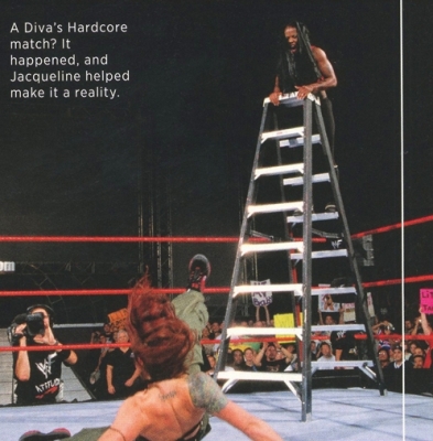 wrestlemania32collector2.jpg