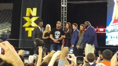 wrestlemania32presale14.jpg