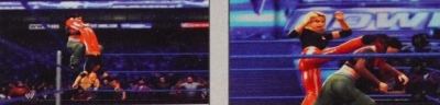 wwe13guide15.jpg