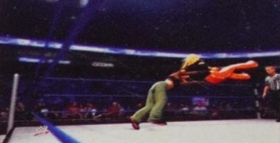 wwe13guide17.jpg