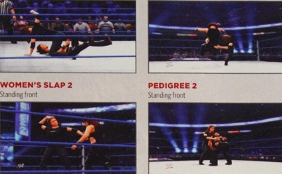 wwe13guide19.jpg