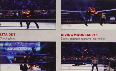 wwe13guide9.jpg
