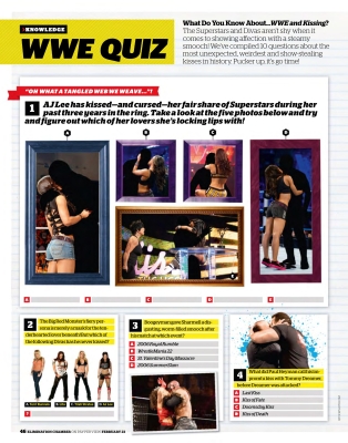 wwemagfeb144.jpg