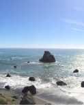 1500x500.jpg