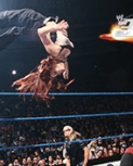 Filename=20140227_30SecondFury_Lita_Tout.jpg
Filesize=34KiB
Dimensions=314x177
Date added=Mar 03, 2014 20140227_30SecondFury_Lita_Tout.jpg