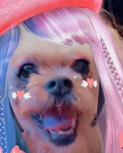 241460689_1013917829447023_8784759663581134510_n.jpg