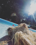 Snapinsta_app_367437007_948463813117633_1149230387372090166_n_1080.jpg