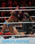 WWE-Royal-Rumble-1-28-18-1371.jpg