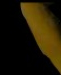 auctionwwfbanner1.jpg