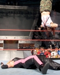careeroflita1.jpg