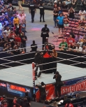 flickr122801678_N03wrestlemania322.jpg