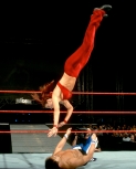 greatesthighflyers1.jpg