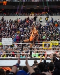 heymanhustlewrestlemania3.jpg