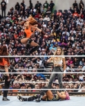 heymanhustlewrestlemania6.jpg