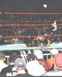 lita2666666677.jpg