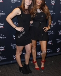 make-a-wish-foundation-celebrates-wwe-superstar-john-cenas-500th-granted-F4WWCD.jpg