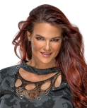 shopwwe12.png