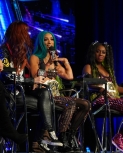smugmugkimberlasskickwrestlemaniaaxxess60.jpg