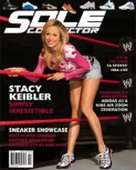 solecollectormag1.jpg