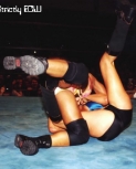 strictlyecwarenaaug993.jpg