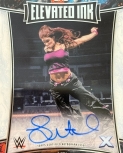 toppsexaltedelevated1.jpg