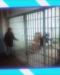 vlc_2015-11-06_09-43-36-663.jpg