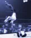 Filename=wall3.jpg
Filesize=2KiB
Dimensions=142x138
Date added=Feb 05, 2014 wall3.jpg