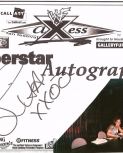 wrestlemania17fanaxxess8.jpg