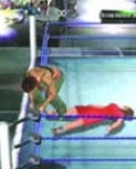 wrestlemania19guide10.jpg