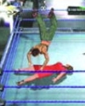 wrestlemania19guide11.jpg
