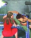 wrestlemania19guide22.jpg