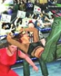 wrestlemania19guide5.jpg