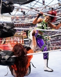 wrestlemania294_1_2311.jpg