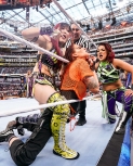wrestlemania294_1_2312.jpg