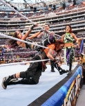 wrestlemania294_1_2313.jpg